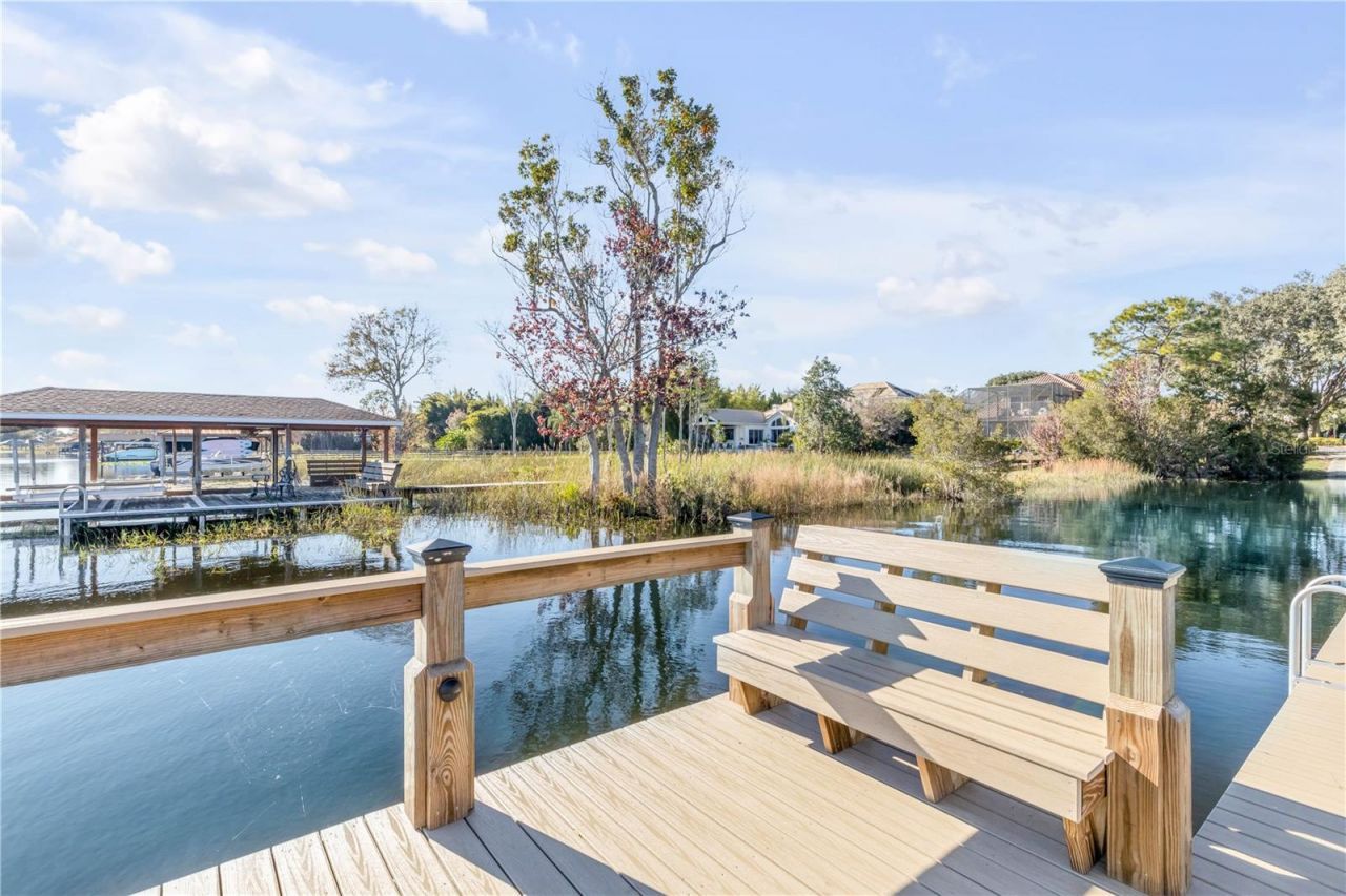 3029 Isola Bella Boulevard, Mount Dora, FL 32757 Photo