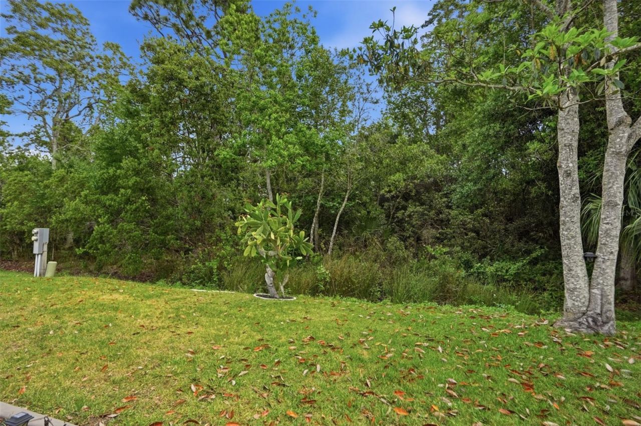 5161 Forest Glenn Drive , Spring Hill, FL 34607 Photo