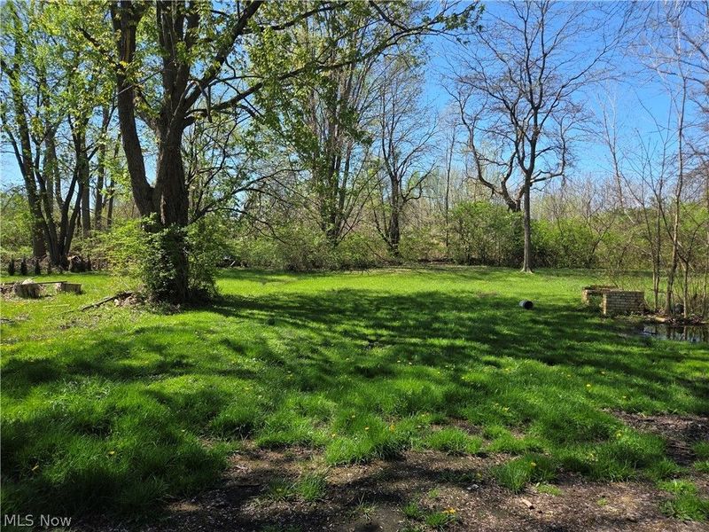 191 Mathews Street, Painesville, OH 44077 Photo 11