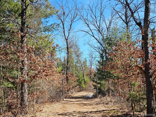 3770 Bovee Lake Road , Mills Twp, MI 48756