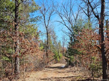 3770 Bovee Lake Road, Mills Township, Mi 48756