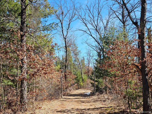 3770 Bovee Lake Road, Mills Township, Mi 48756