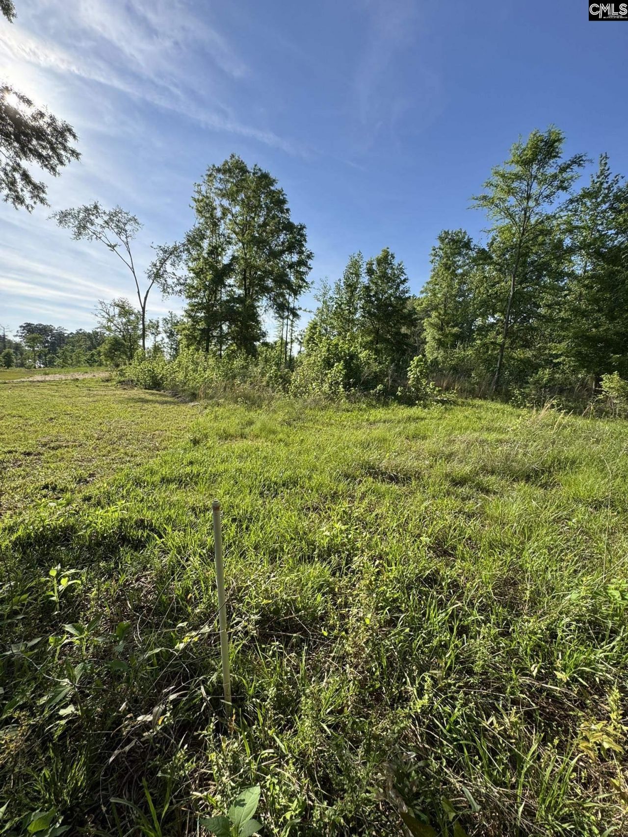 238 Navigator Trail  Photo 10