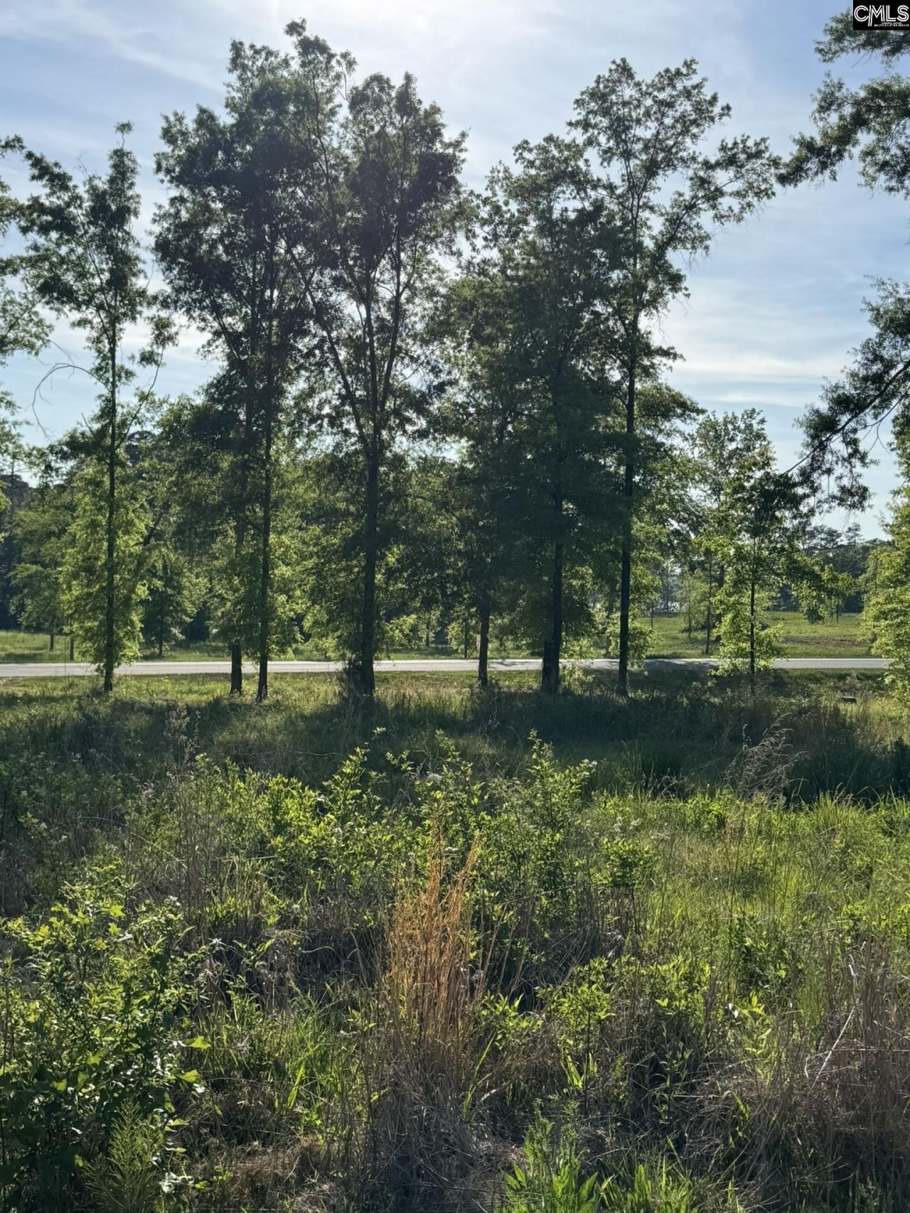 238 Navigator Trail  Photo 12