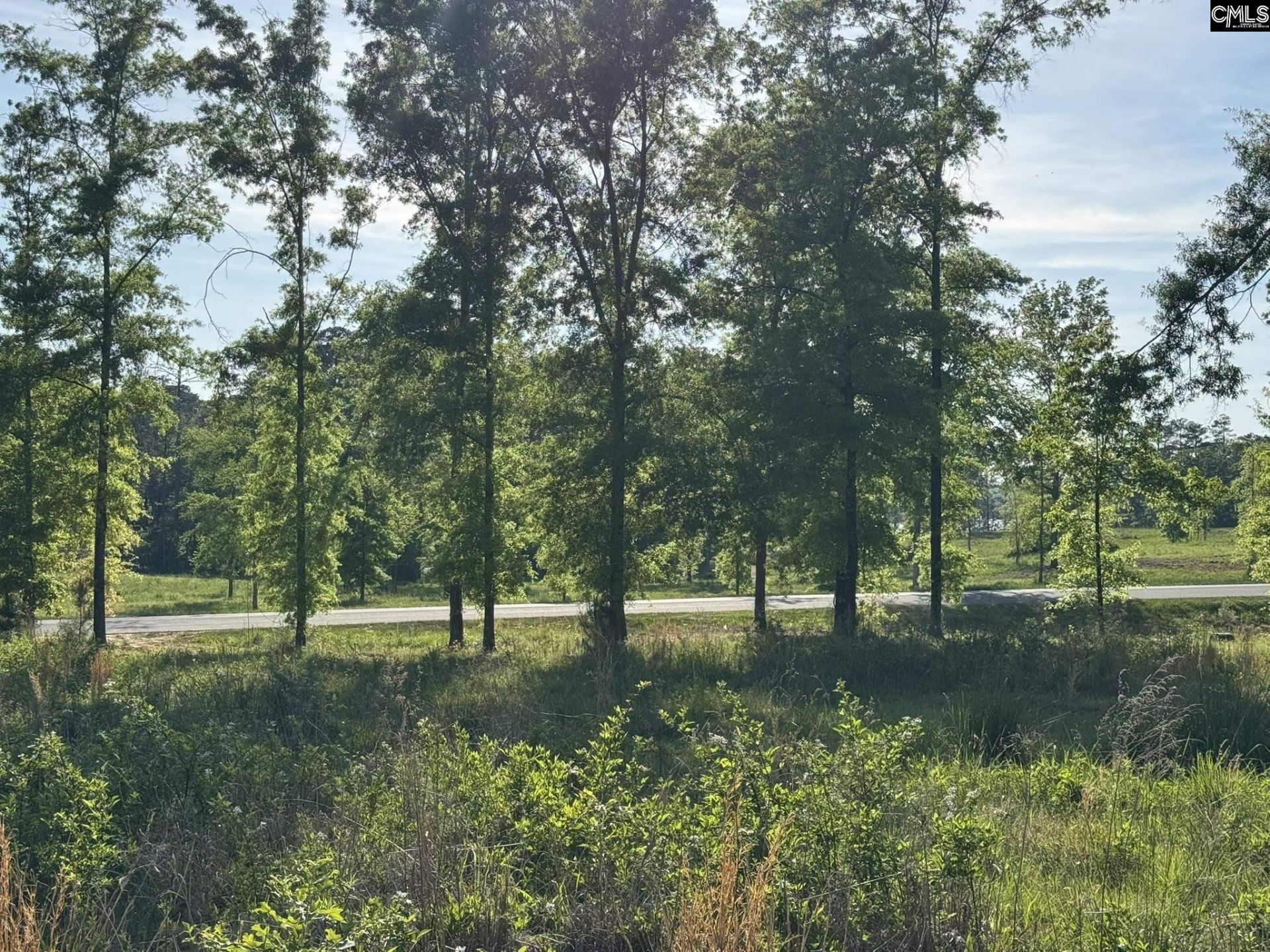 238 Navigator Trail  Photo 13