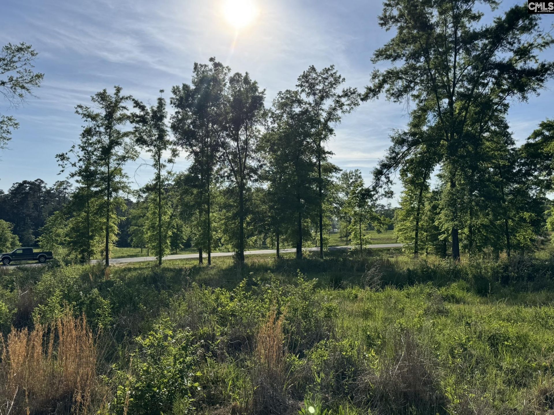 238 Navigator Trail  Photo 14