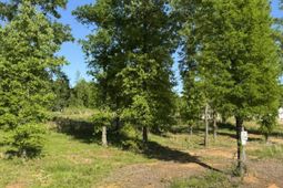 238 Navigator Trail  photo 4