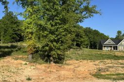 238 Navigator Trail  photo 4