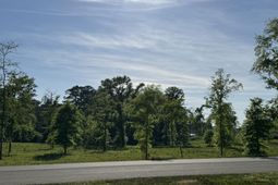 238 Navigator Trail  photo 4