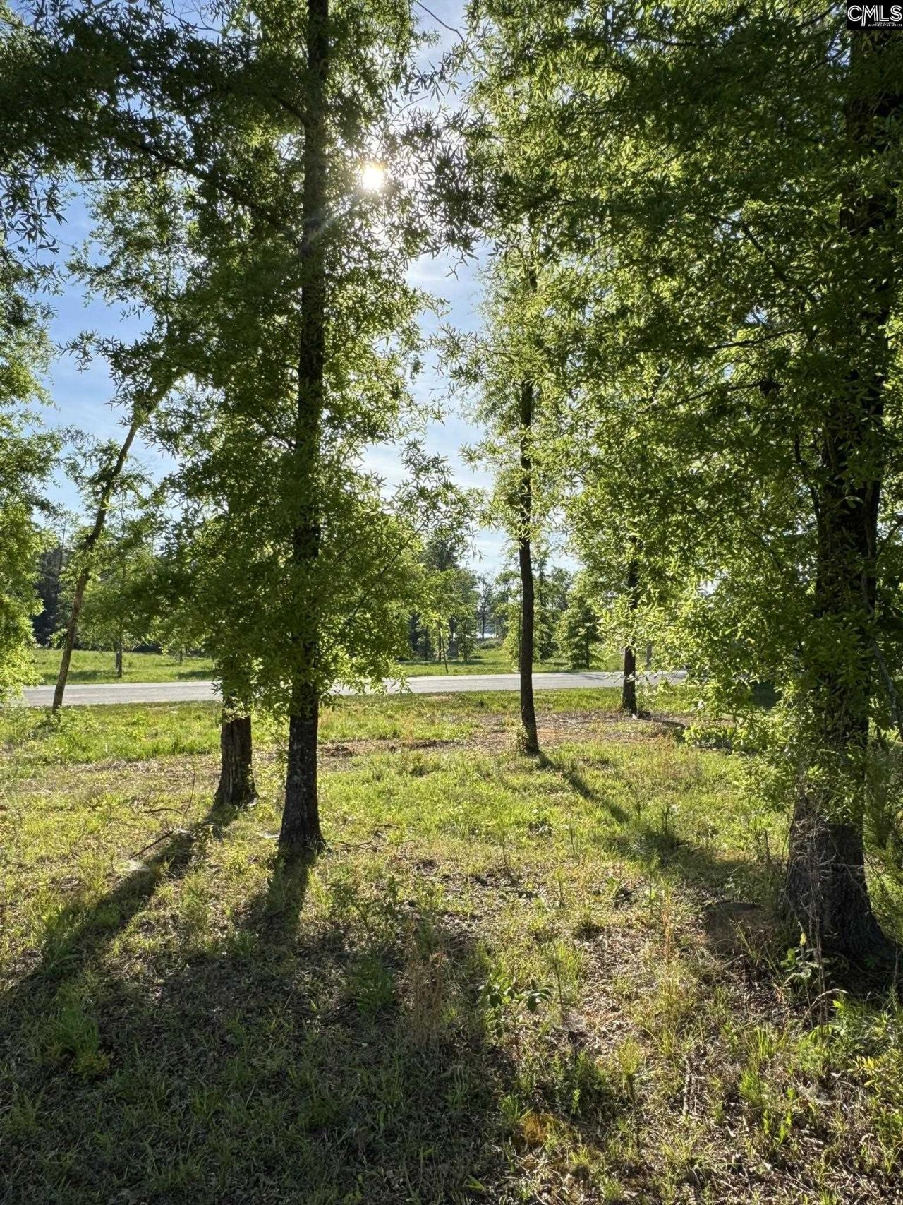 238 Navigator Trail  Photo 7