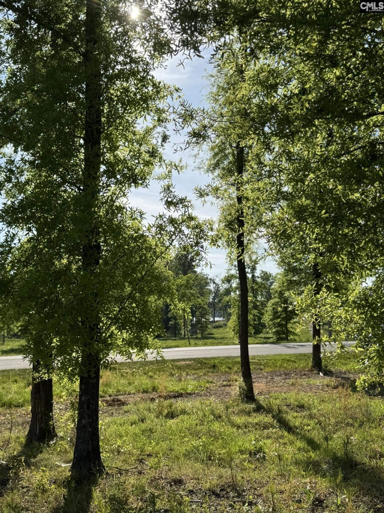 238 Navigator Trail  Photo 8