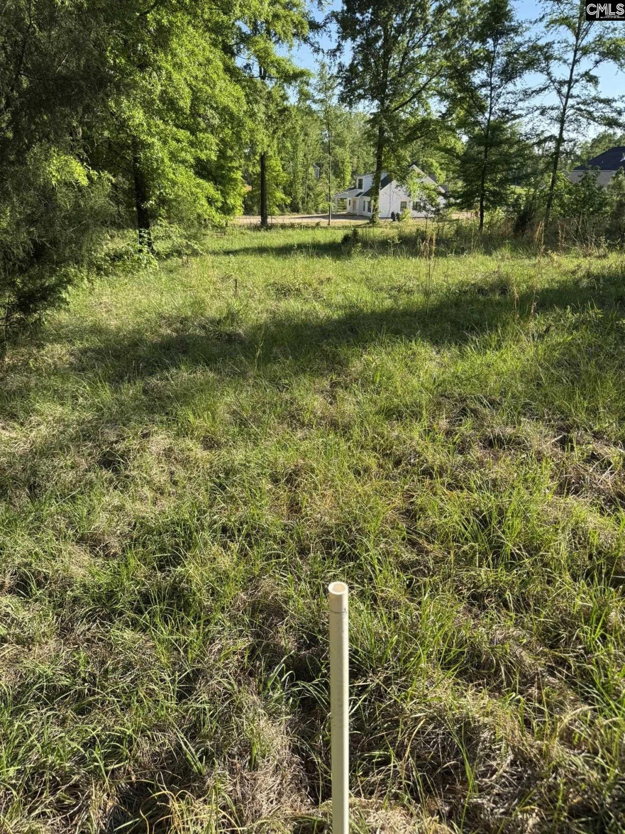 238 Navigator Trail  Photo 9