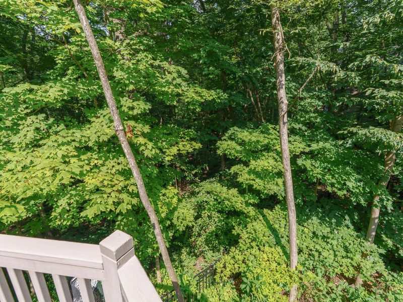 630 Woods Hollow Lane , Powell, OH 43065 Photo 69