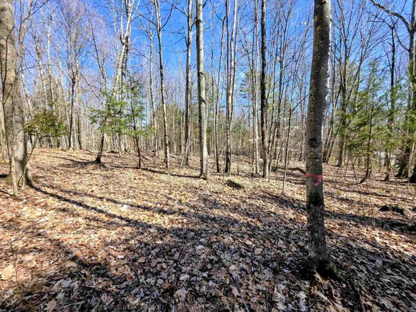 0000 Wildcat Drive, Unit 94, Haverhill, NH 03765