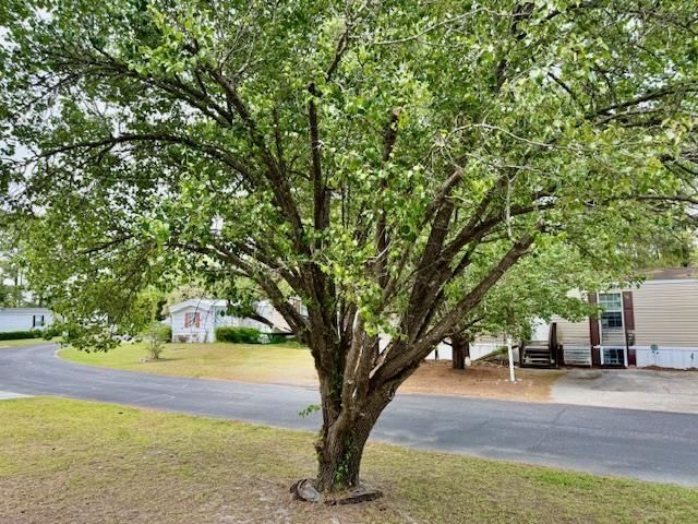 980 Jamestown Rd.  Photo 31