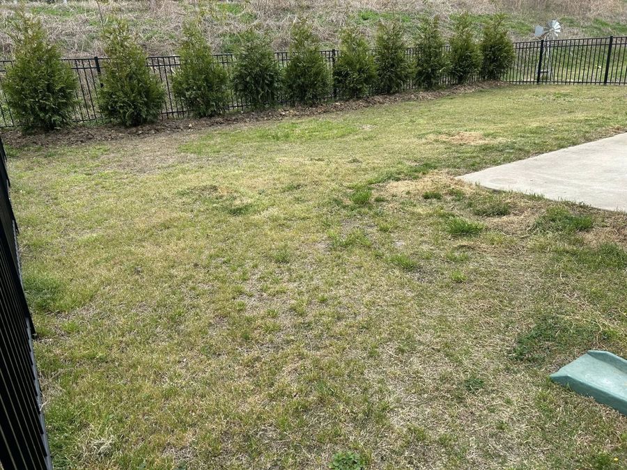 Property Image 54