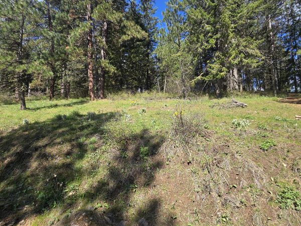 NKA Iron Mountain Ln , Desmet, ID 83824