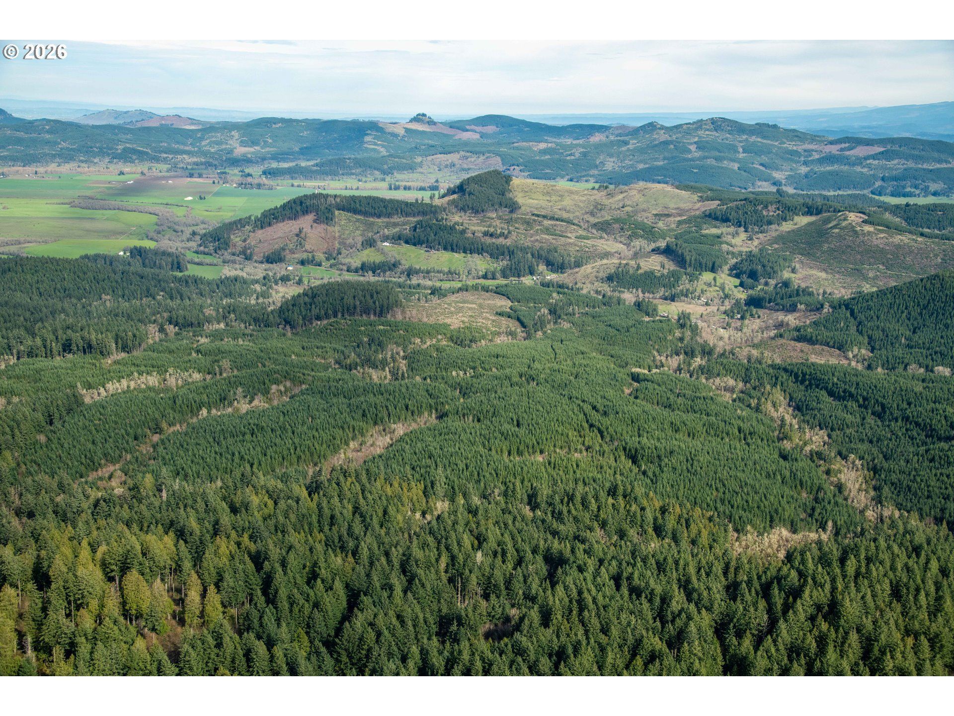 Courtney Creek Dr, Brownsville, OR 97327 Main Photo