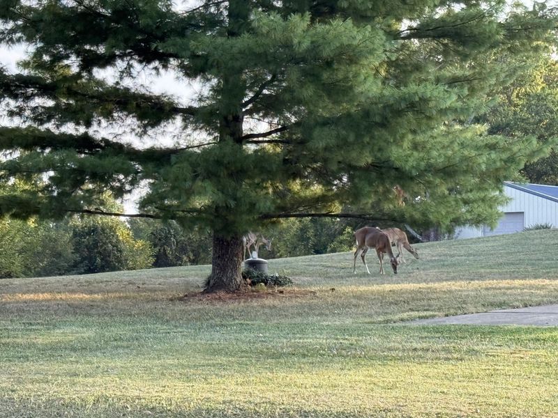 1775 Dry Ridge Mount Zion Road, Dry Ridge, KY 41035 Photo 2