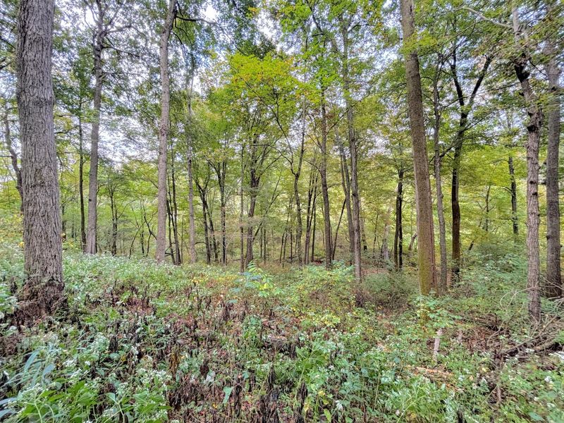 1775 Dry Ridge Mount Zion Road, Dry Ridge, KY 41035 Photo 48