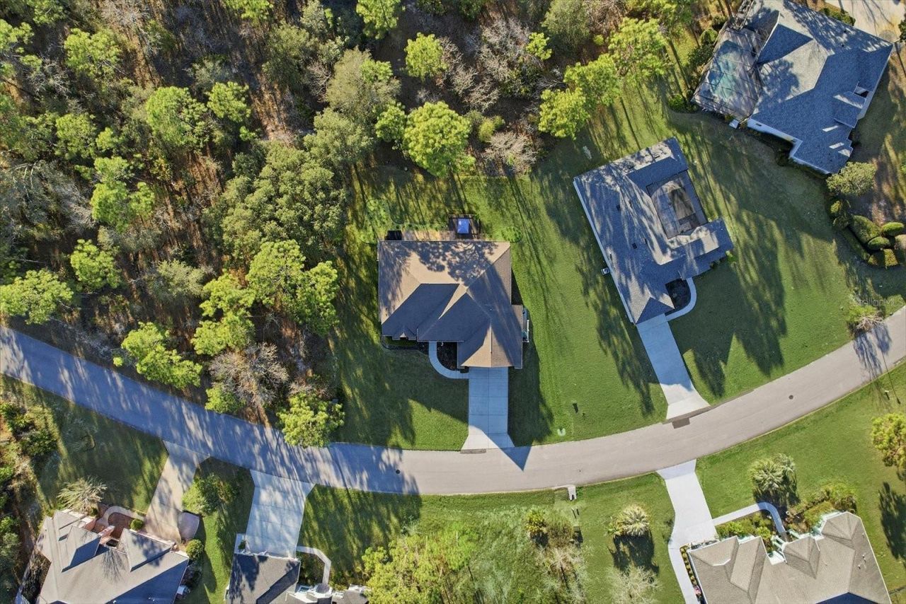 6 Carnation Court , Homosassa, FL 34446 Photo