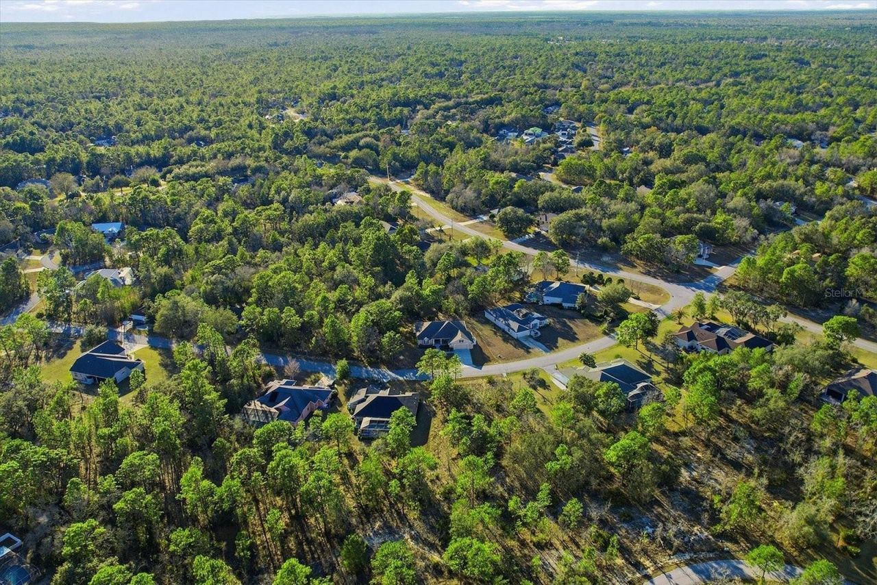 6 Carnation Court , Homosassa, FL 34446 Photo