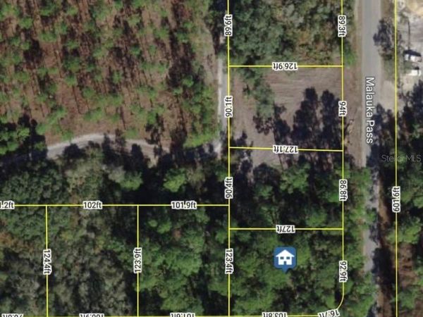 XXX MALAUKA PASS PASS , OCKLAWAHA, FL 32179