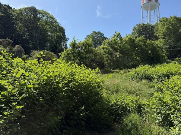 513 Mount Crest Drive, Gainesville, GA 30501