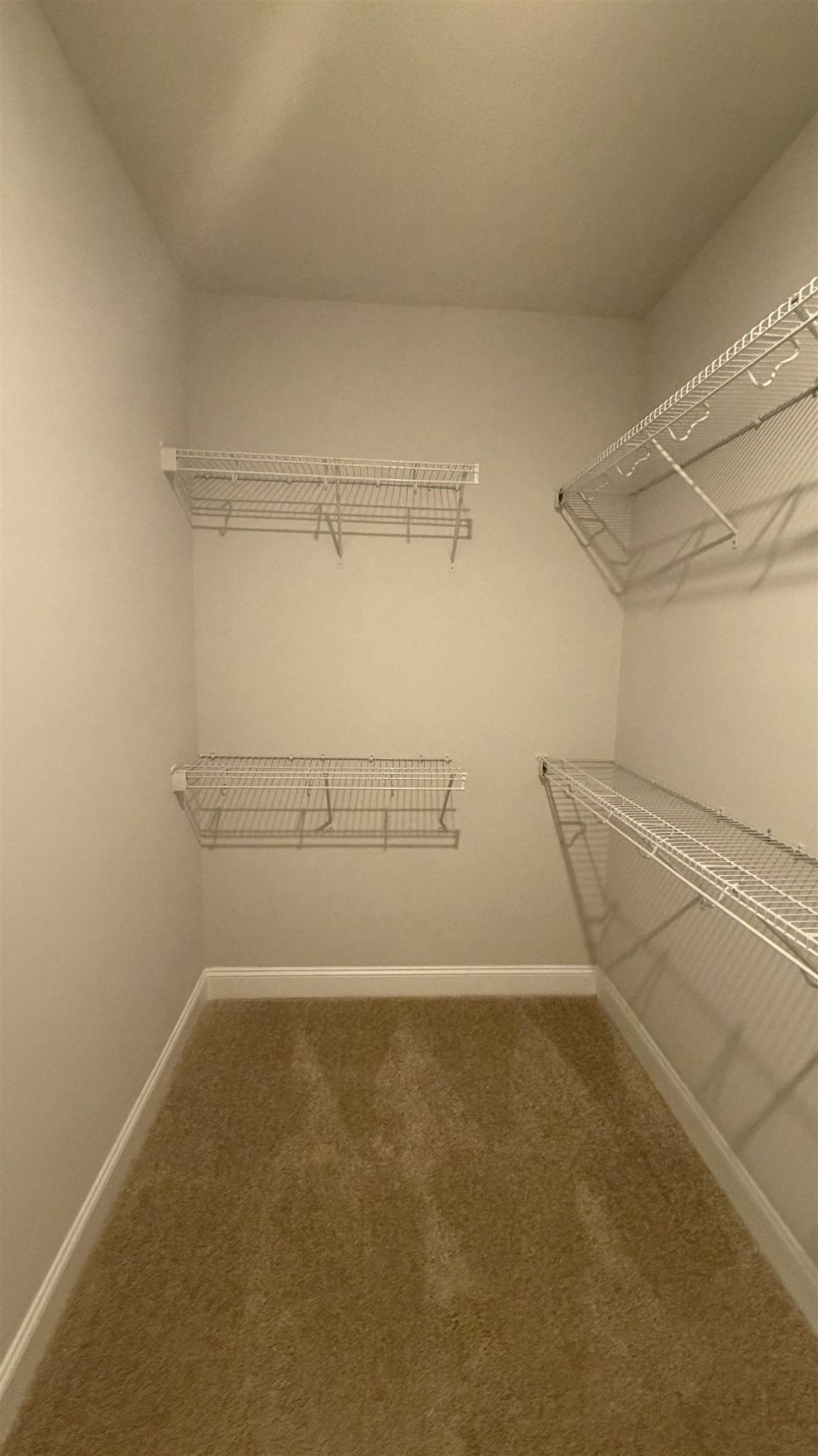 124 Furnies Place  Photo 31