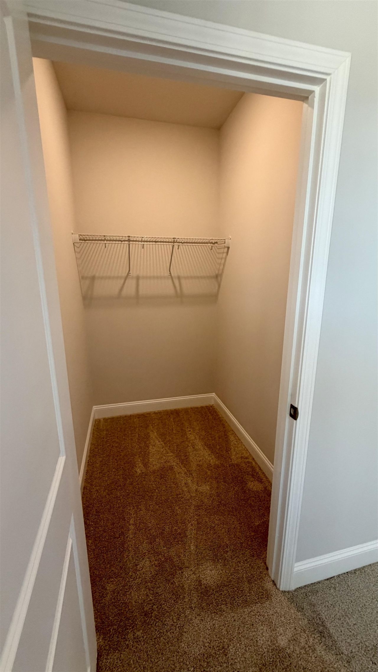 124 Furnies Place  Photo 34