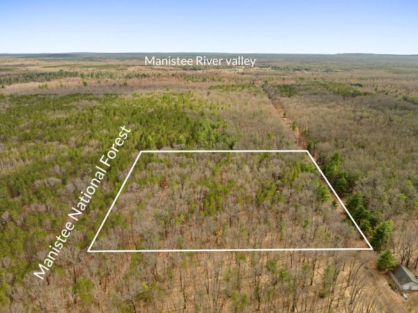 Maple Avenue, Brethren, MI 49619