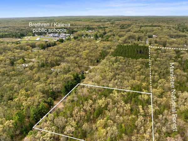 0 Maple Avenue, Brethren, MI 49619