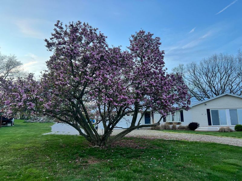 75 Appleview Court , Howard, OH 43028 Photo 9