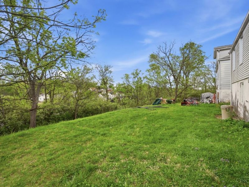 3294 Alpine Place, Cincinnati, OH 45211 Photo 38