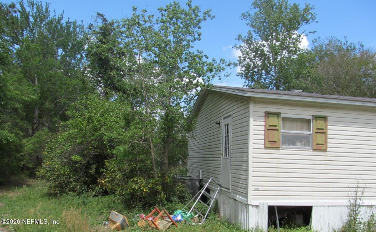 132 Mandrake Street, Middleburg, FL 32068 Photo