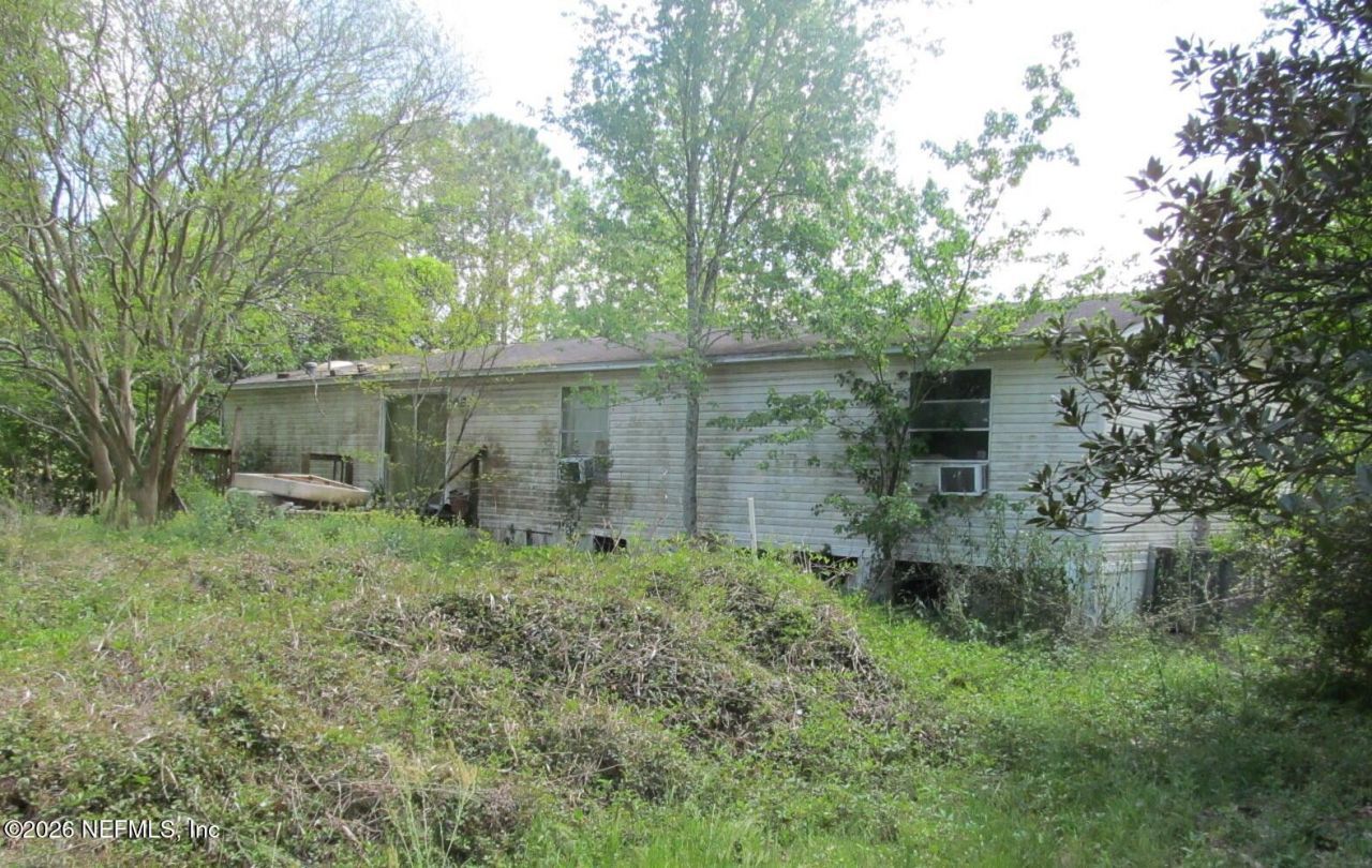 132 Mandrake Street, Middleburg, FL 32068 Photo