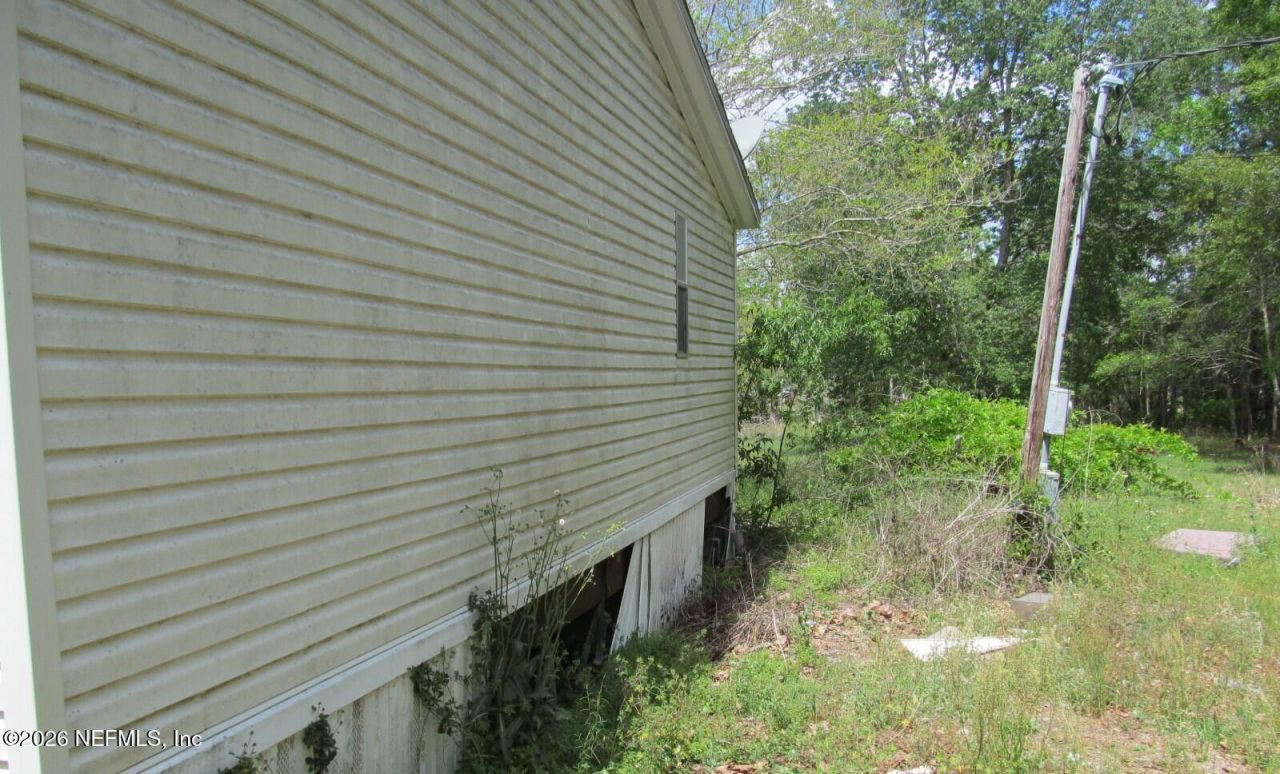 132 Mandrake Street, Middleburg, FL 32068 Photo