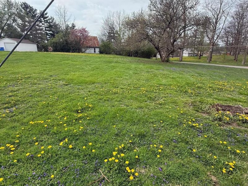 186 Iberia Street , Mount Gilead, OH 43338 Photo 2