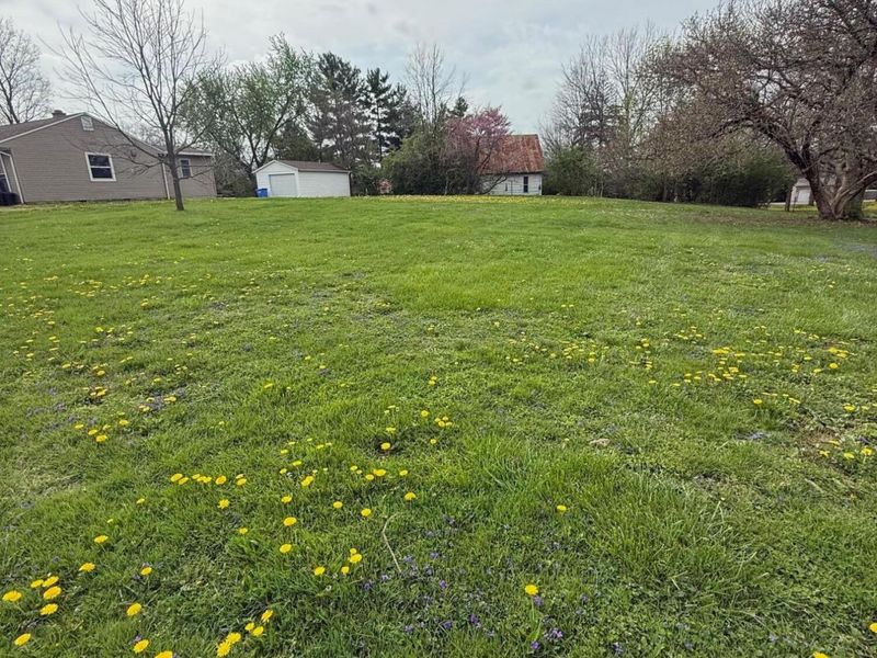 186 Iberia Street , Mount Gilead, OH 43338 Photo 3