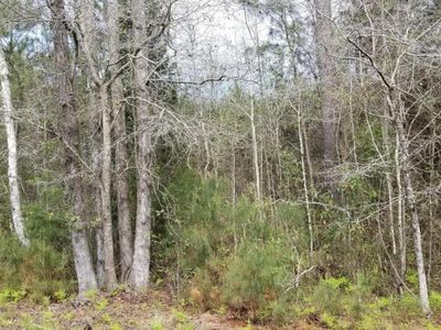 00 Randolph Drive, Unit N/A, Smoaks, SC 29481