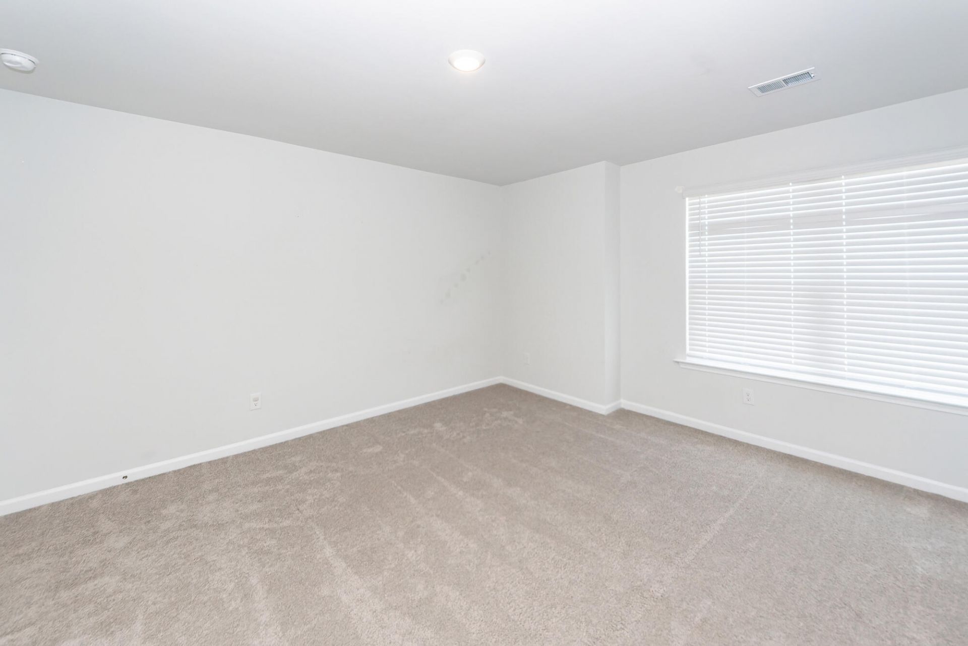 214 Wild Strawberry Lane Photo 17