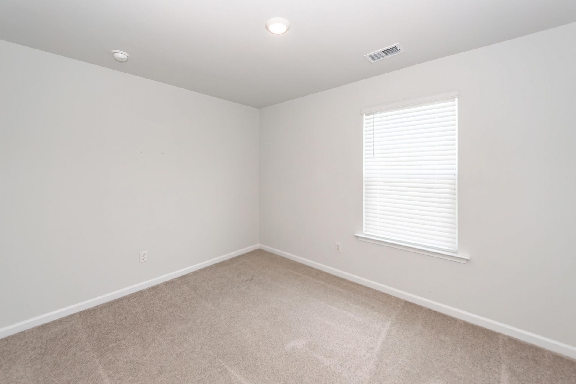 214 Wild Strawberry Lane Photo 30