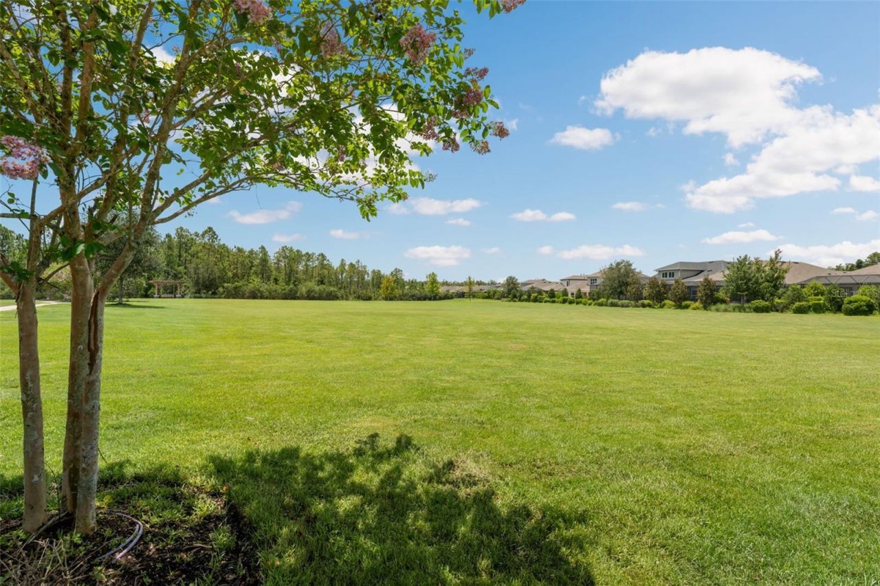 17974 Ramble On Way , Land O Lakes, FL 34638 Photo