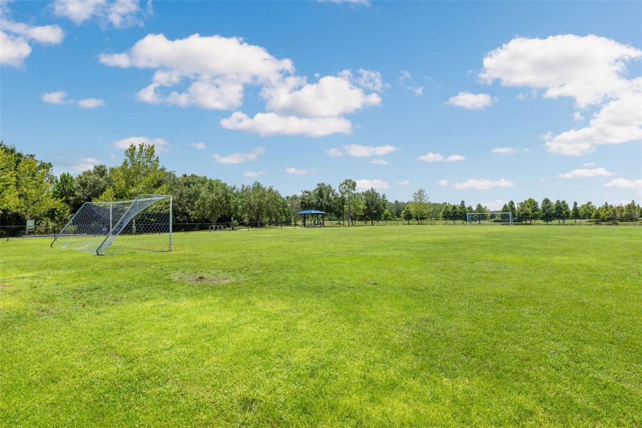 17974 Ramble On Way , Land O Lakes, FL 34638 Photo