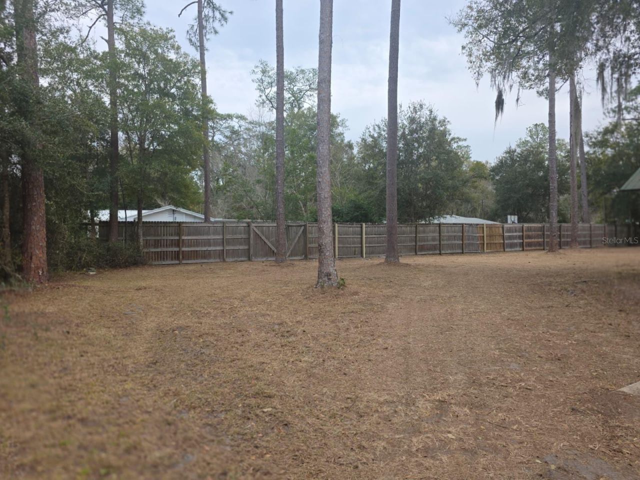 710 NE 11th Avenue, Gainesville, FL 32601 Photo