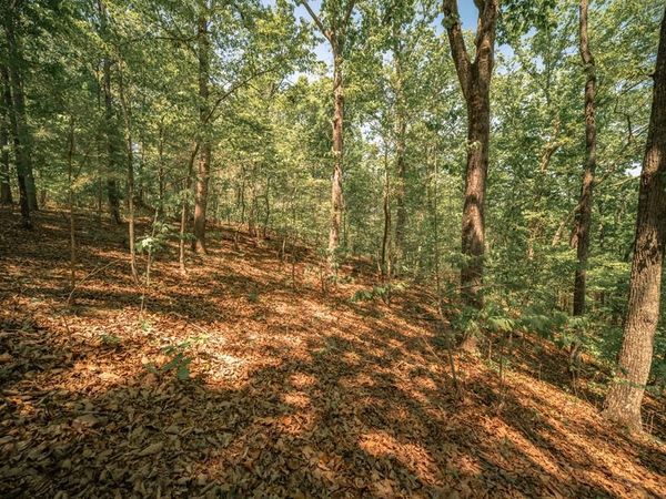 00 Hancock Mountain Trail, Waleska, GA 30183