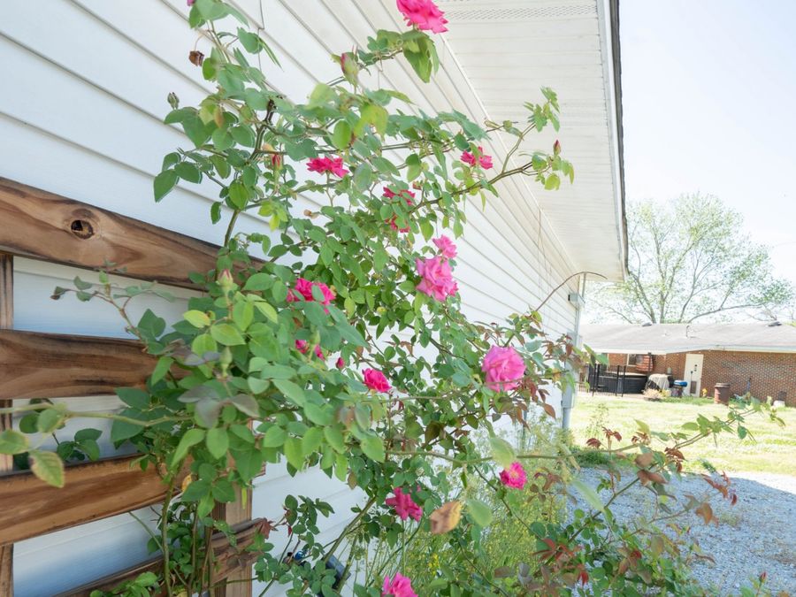 Property Image 59