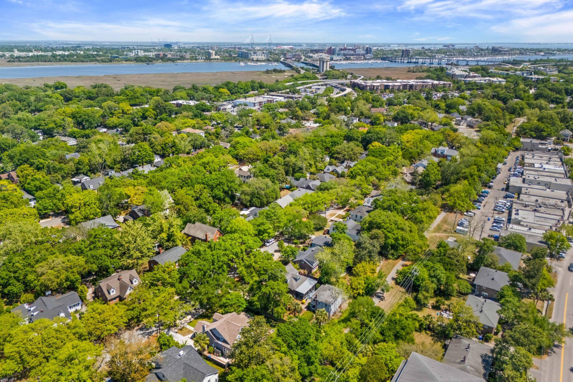 29 Beverly Road Photo 74