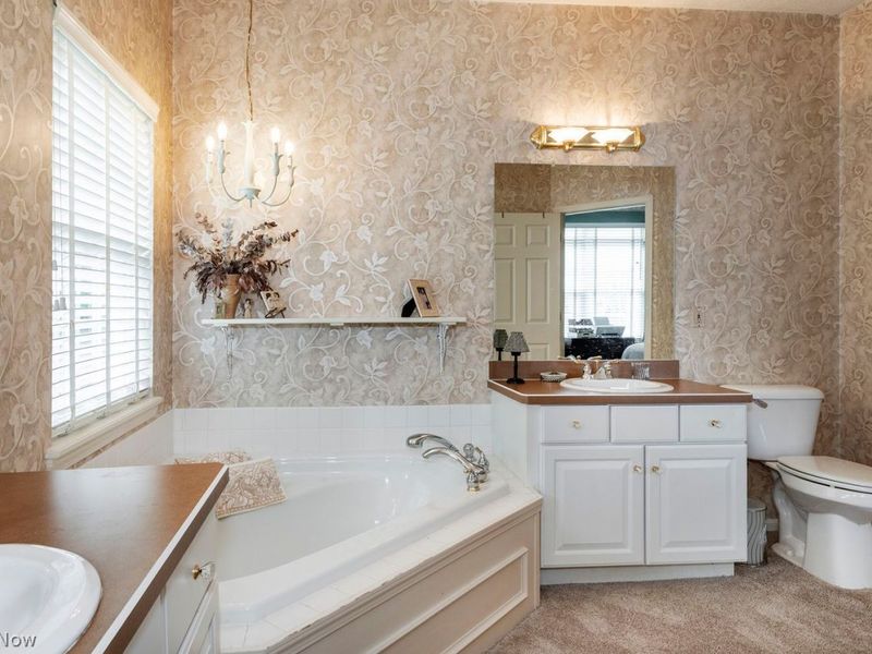 3031 Silverton Street, Avon, OH 44011 Photo 31