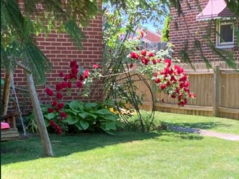 16306 Valleyview Avenue, Cleveland, OH 44135 Photo 48